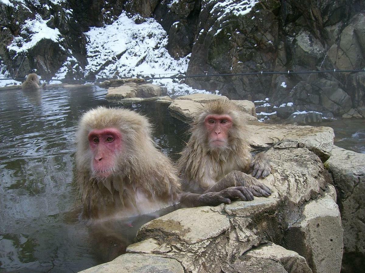 Lodge Jun Хакуба Екстериор снимка